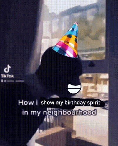 Cartoon Cat Wearing Party Hat GIF
