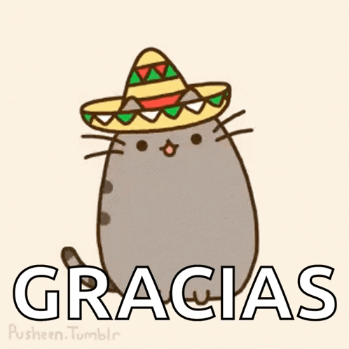 Cartoon Cat Wearing Sombrero Gracias