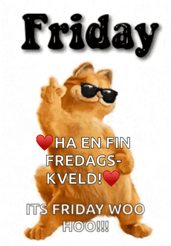 Cartoon Cat Wearing Sunglasses Says Friday GIF
