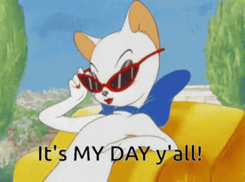 Cartoon Cat Wearing Sunglasses Says Its My Day Y All GIF