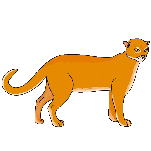 Cartoon Cat With Long Tail