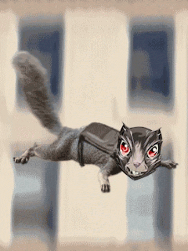Cartoon Cat With Red Eyes Flying Through Window GIF