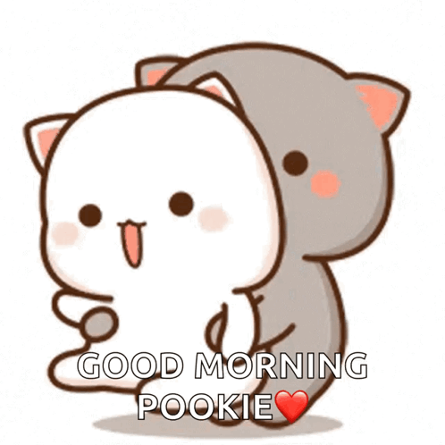 Cartoon Cats Hugging Good Morning Pookie