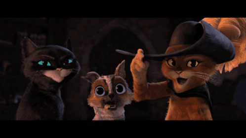 Cartoon Cats