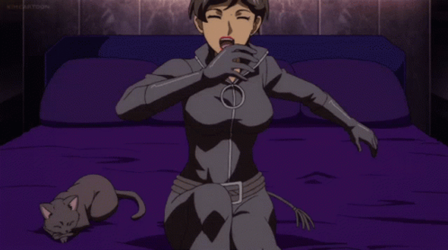 Cartoon Catwoman On The Bed GIF