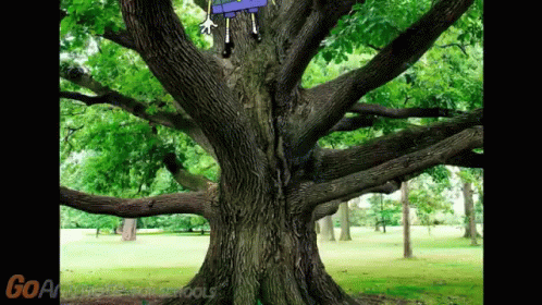 Cartoon Character Hanging From Tree GoAnimate for Schools