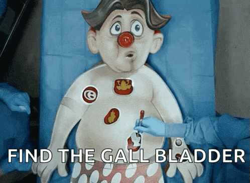 Cartoon Character Operation Find the Gall Bladder