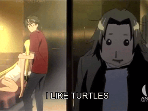 Cartoon Character Saying I Like Turtles