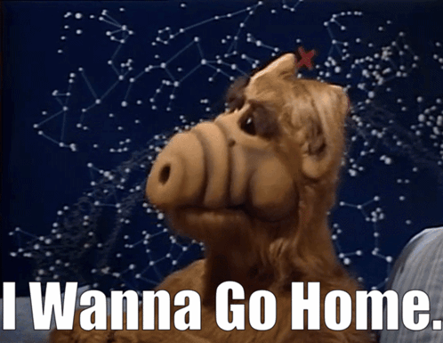 Cartoon Character Saying I Wanna Go Home Starry Sky
