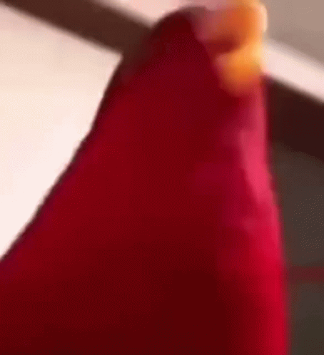 Cartoon Character Saying The Cold Never Bothered Me Anyway
