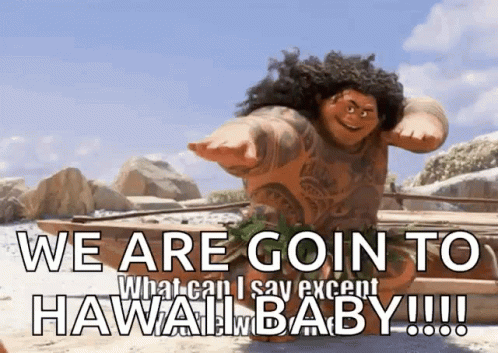 Cartoon Character Saying We Are Going to Hawaii