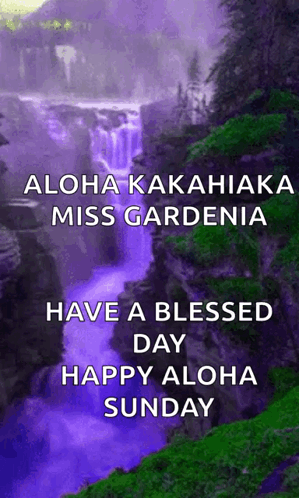 Cartoon Character Saying We Are Going to Hawaii