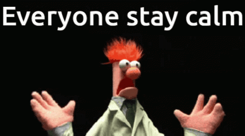 Cartoon Character Says Everyone Stay Calm GIF