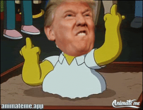 Cartoon Character With Donald Trump Face