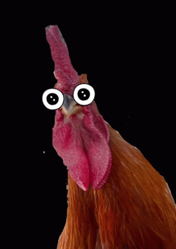 Cartoon Chicken With Big Eyes Red Crest Dancing