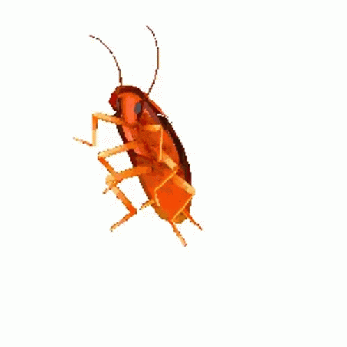 Cartoon Cockroach GIF