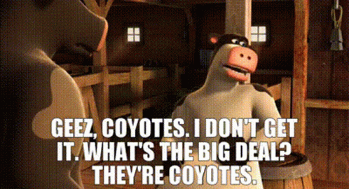 Cartoon Cow Says Geez Coyotes What's The Big Deal GIF