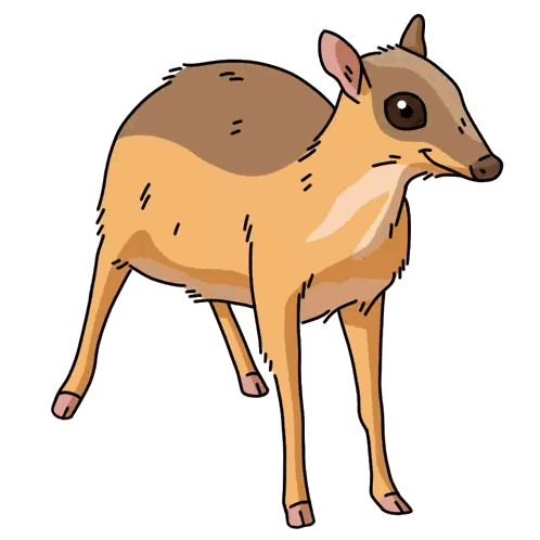 Cartoon Deer Standing