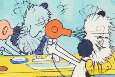 Cartoon Dog Blow Drying Another Dog's Hair