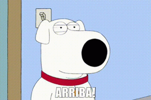 Cartoon Dog Holding Light Switch Says Arriba