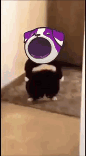 Cartoon Dog In Purple Hat And Sunglasses GIF