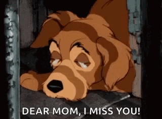 Cartoon Dog Laying in Cage Saying Dear Mom I Miss You