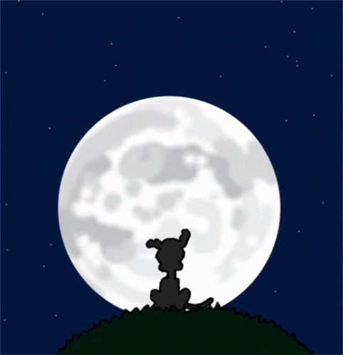 Cartoon Dog Looking at Full Moon