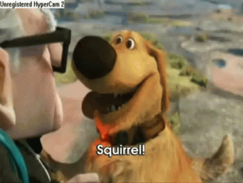 Cartoon Dog Saying Squirrel