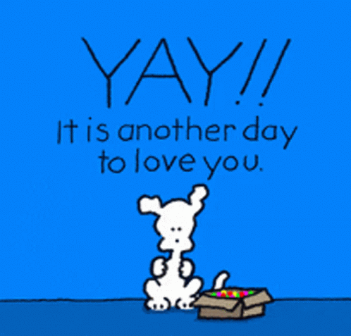 Cartoon Dog Sitting Next To Box Saying Yay GIF