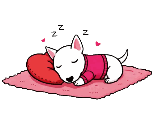 Cartoon Dog Sleeping on Pink Blanket