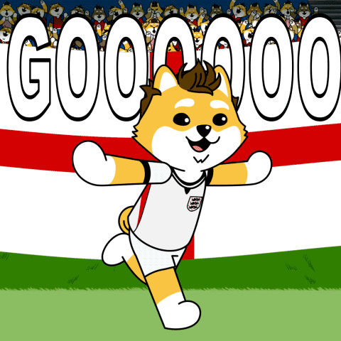 Cartoon Dog Wearing England Jersey GIF