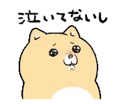 Cartoon Dog With Chinese Writing