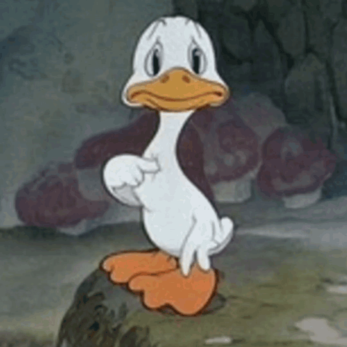 Cartoon Duck Pointing on Rock