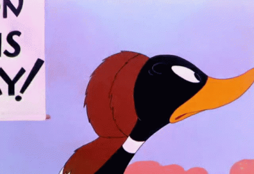 Cartoon Duck Standing Before N Is Y Sign GIF