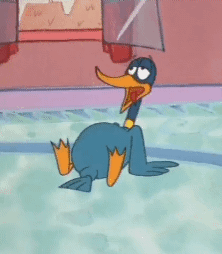 Cartoon Duck Swimming In Pool GIF