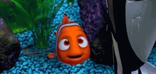 Cartoon Fish with Big Eyes Swimming