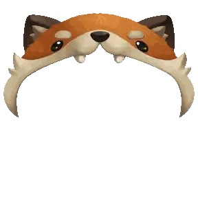Cartoon Fox Face