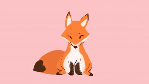 Cartoon Fox Sitting With Eyes Closed On Pink Background GIF