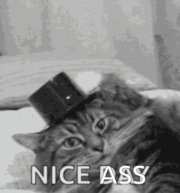 Cartoon Fox With Big Belly Next To Rabbit GIF