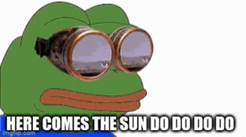 Cartoon Frog In Goggles Says Here Comes The Sun Do Do Do Do GIF
