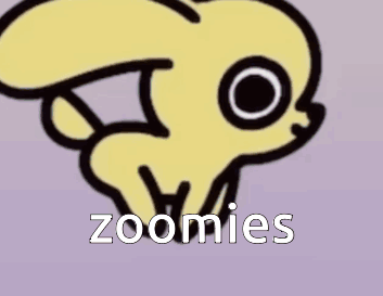 Cartoon Frog Saying Zoomies