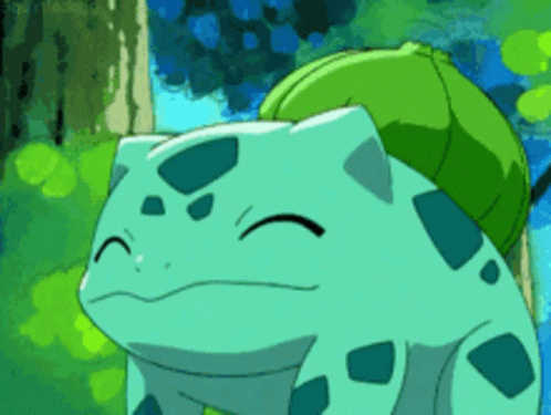 Cartoon Frog With Green Shell Smiling GIF