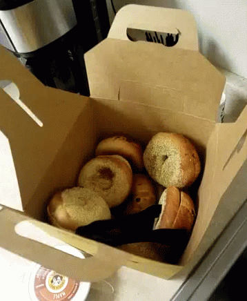 Cartoon Full Of Bagel GIF