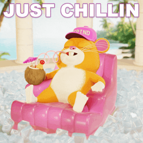 Cartoon Hamster Holding Coconut Drink In Cd Ind Hat GIF