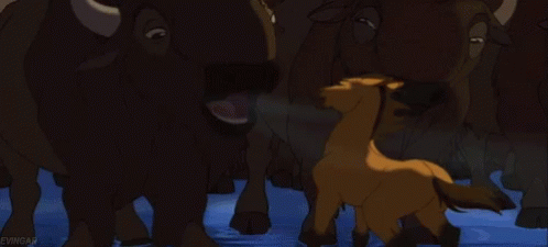 Cartoon Horse Standing In Water GIF
