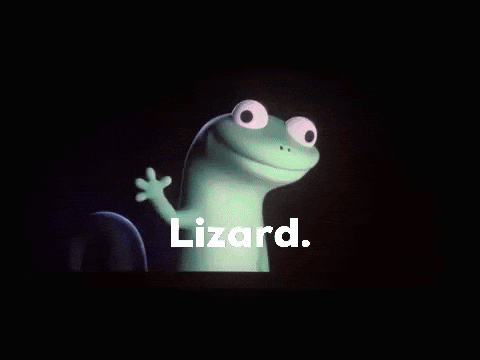 Cartoon Lizard with Lizard Text