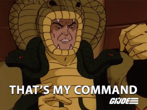 Cartoon Man With Snake On Head Saying That's My Command