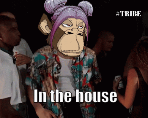 Cartoon Monkey Saying In The House GIF