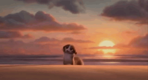 Cartoon Monkey Walking Beach Sunset