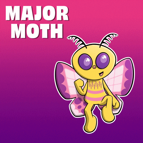 Cartoon Moth Saying Major Moth GIF